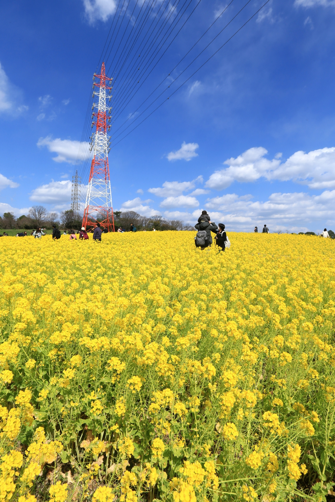 Spring hill