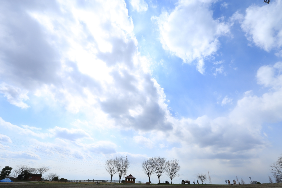 Sky