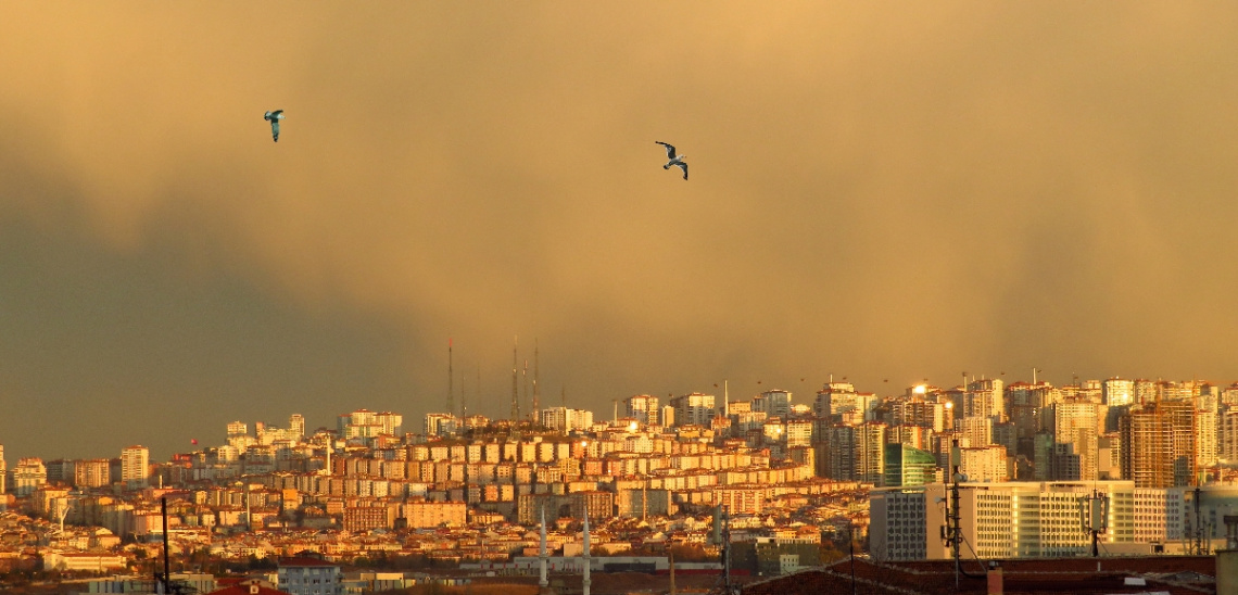 Ankara-