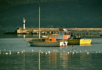 DENİZ