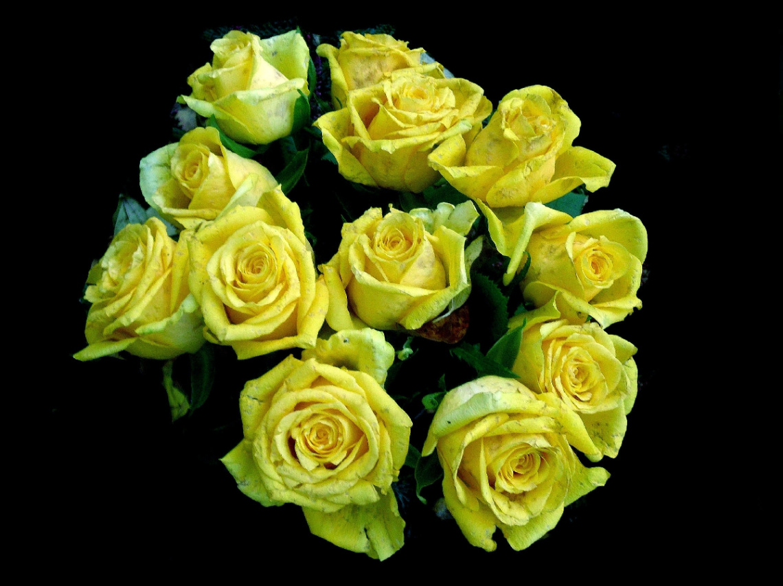 BLÜTEN