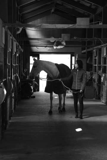 Stable