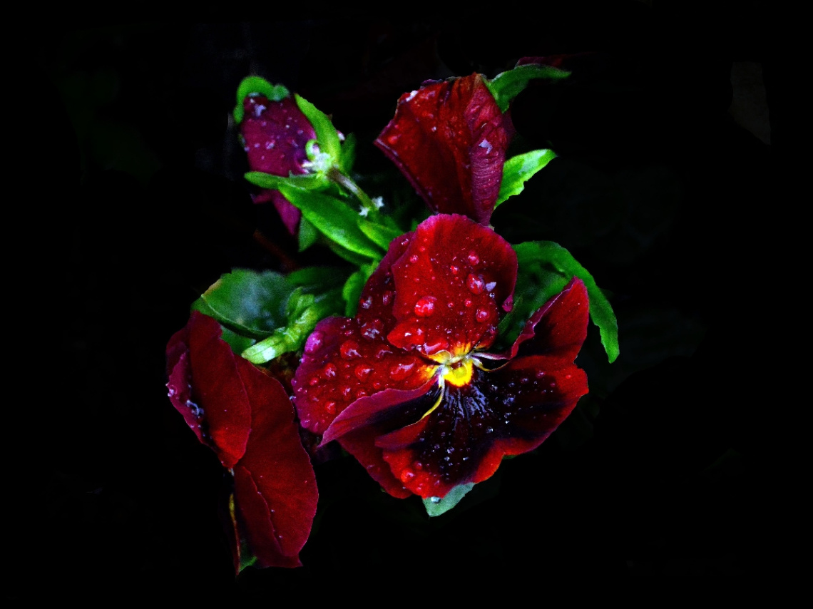 BLÜTEN