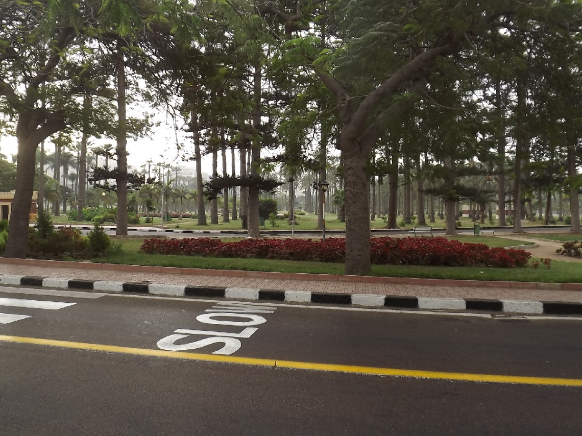 Egypt  - Alexandria - Almontazah Palace Gardens