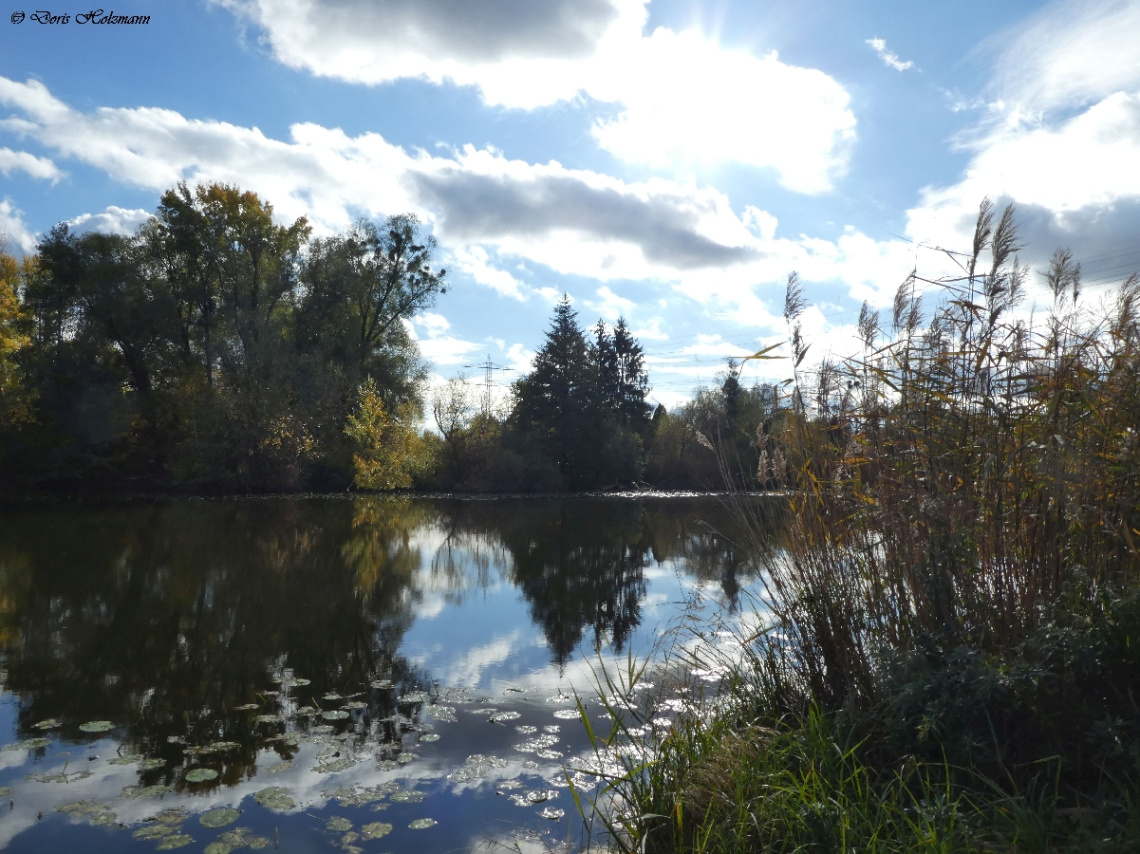 Nature reserve Saumseen in Karlsruhe / Germany