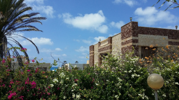 Egypt  - Alexandria - North Coast