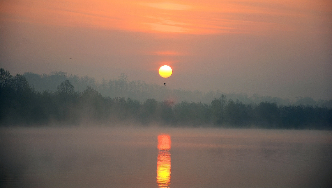 ... Fog