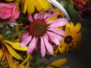 BLÜTEN