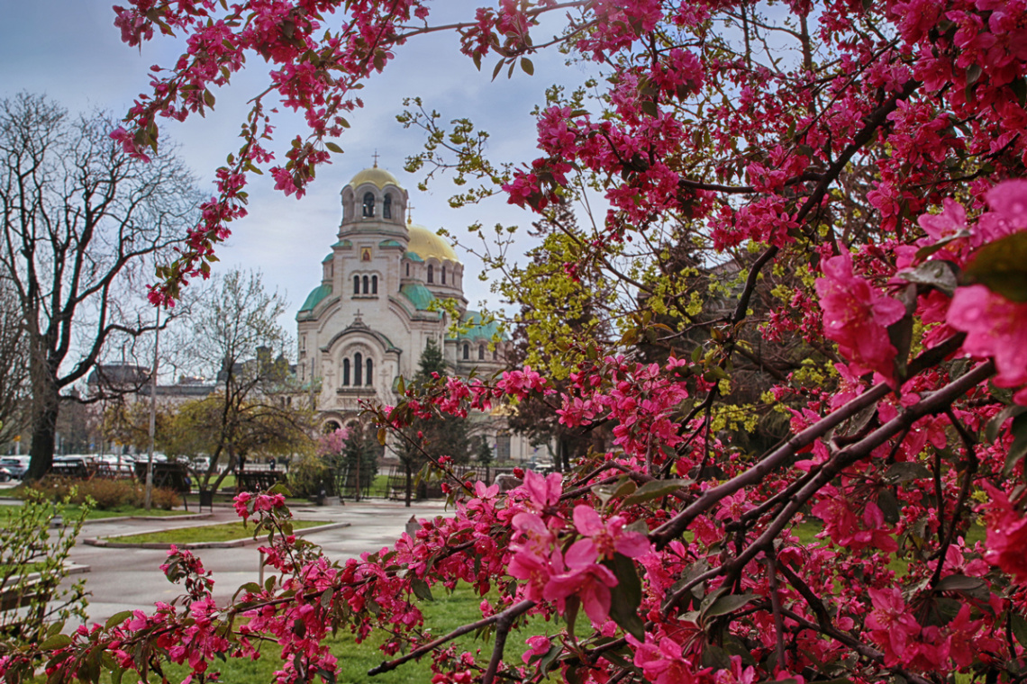 Colorful spring in my city