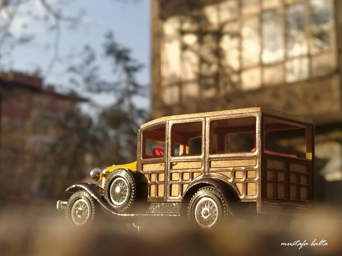 Miniciks hayatlar  WOODY