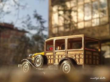 Miniciks hayatlar  WOODY