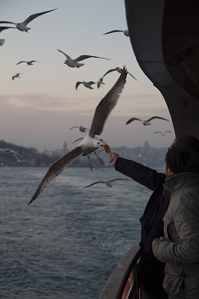 İstanbul Life