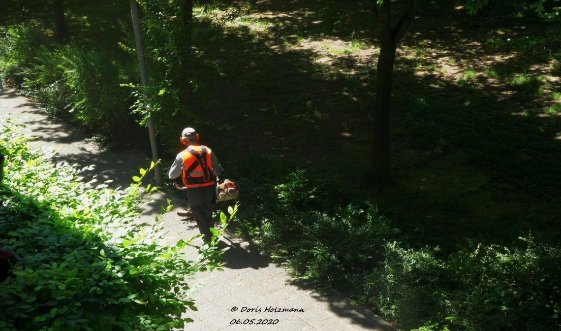 Horticultural work 