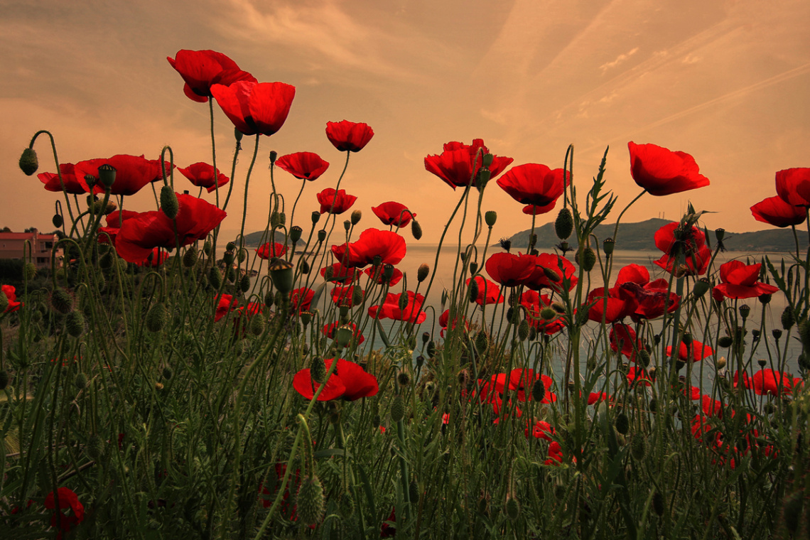 May in red