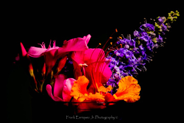Spring Flowers