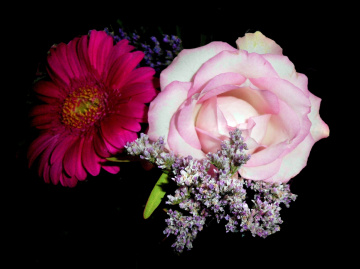 BLÜTEN