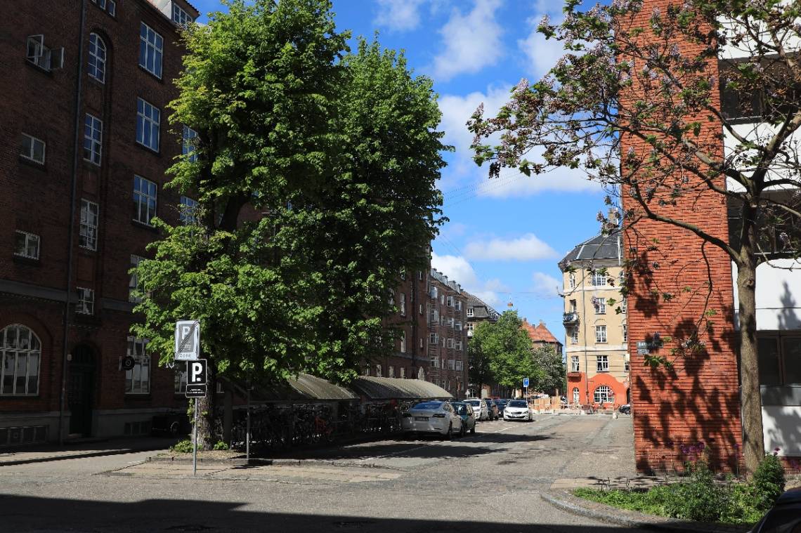 Østerbro - Copenhagen - May - 2020 (5)