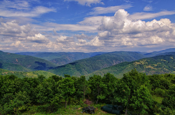 Şehriman Orman Gözetleme Kulesinden