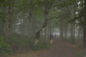 Çataldağ Zirve Sislerinde