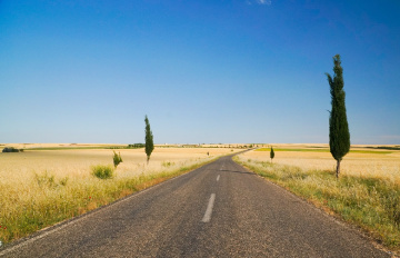 Yol