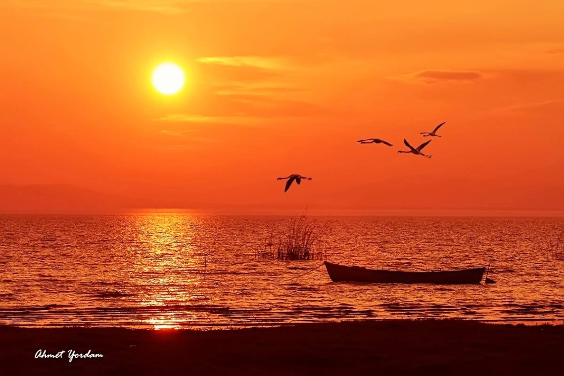 Kuşcenneti, Bandırma