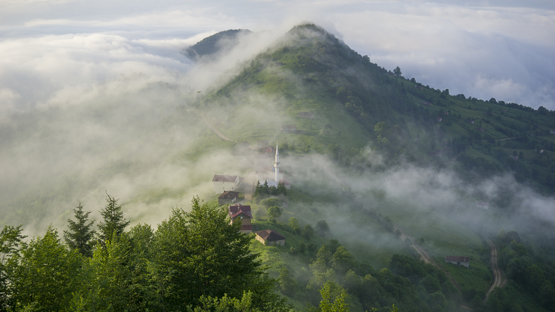 Kavgadüzü