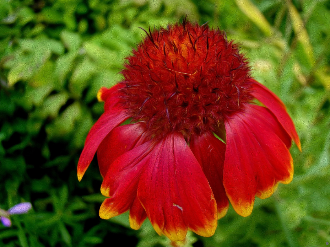 BLÜTE
