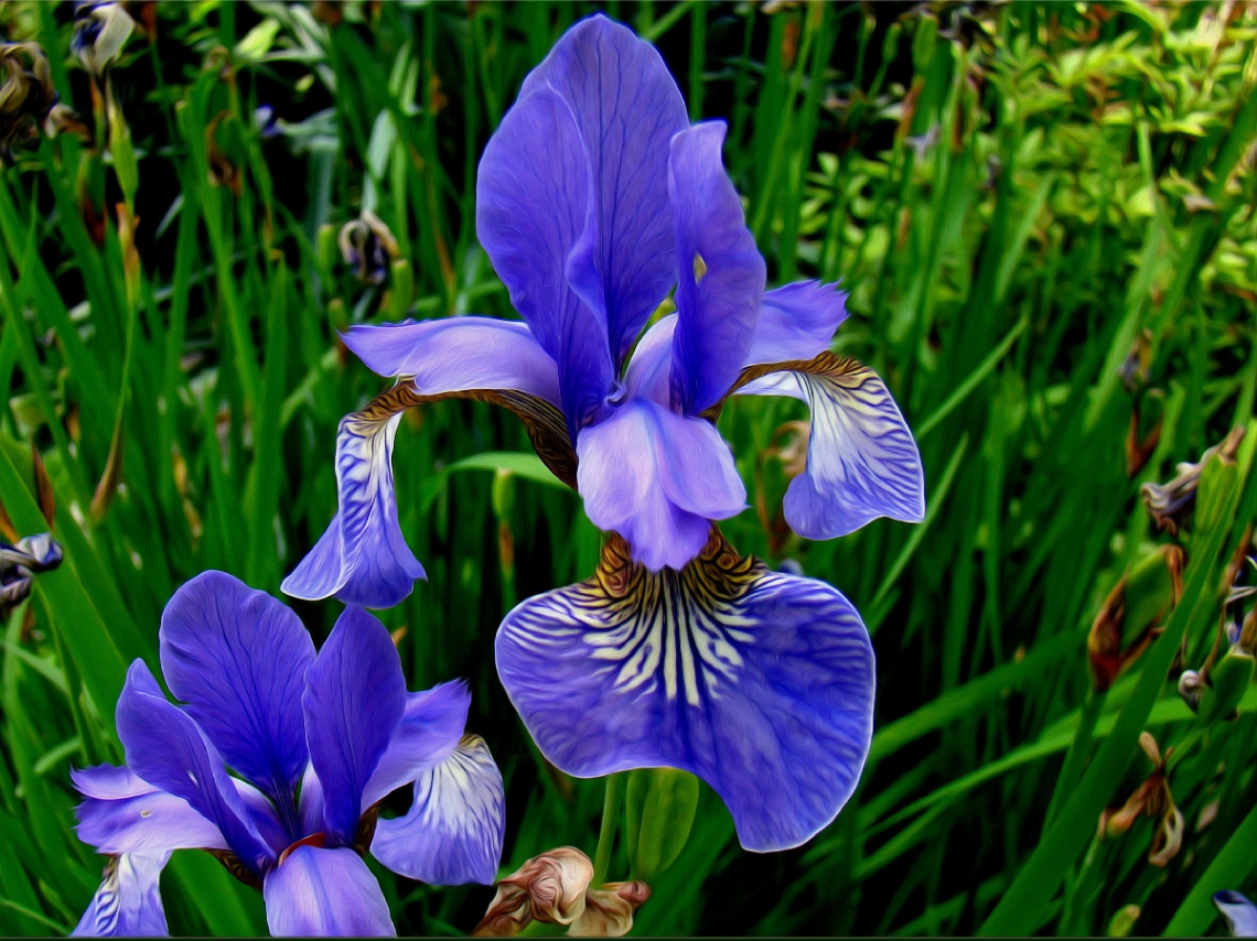 BLÜTEN