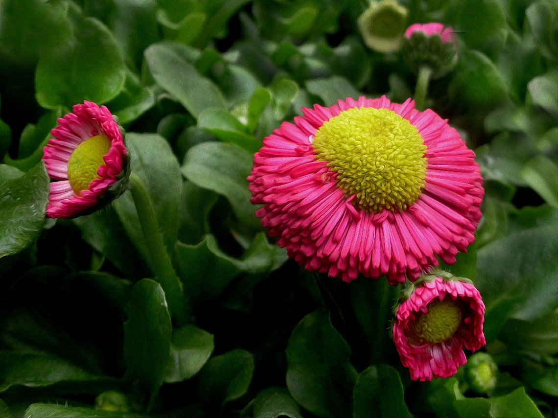 BLÜTEN