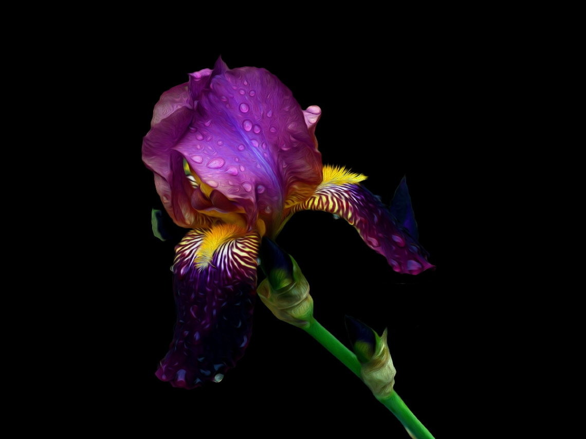 BLÜTE