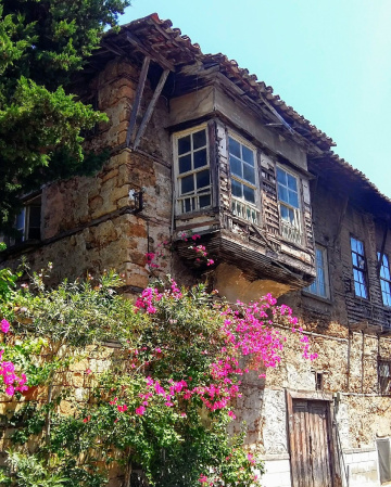 Hayat