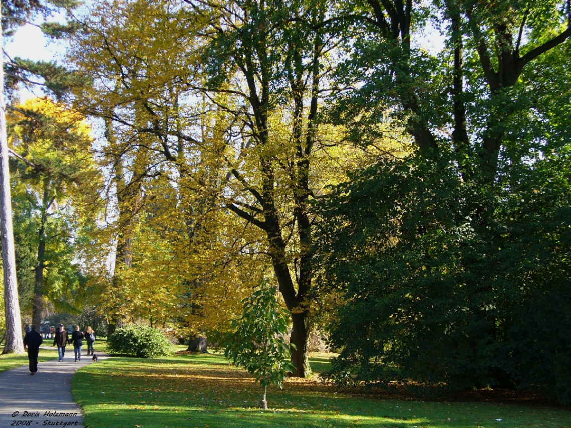 Park in Stuttgart / Germany / 2008