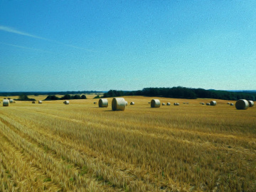 ERNTEZEIT