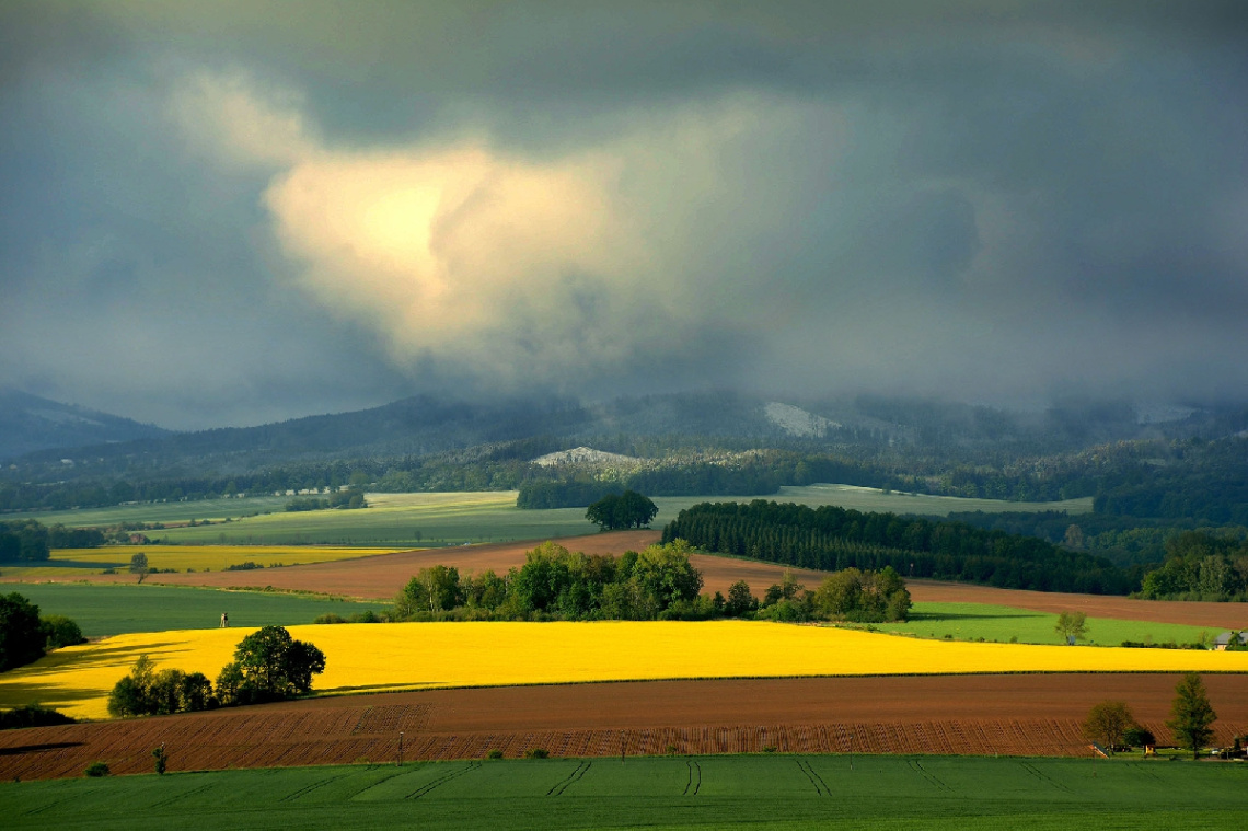 ... rape field