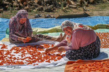 Tarhana Zamanı