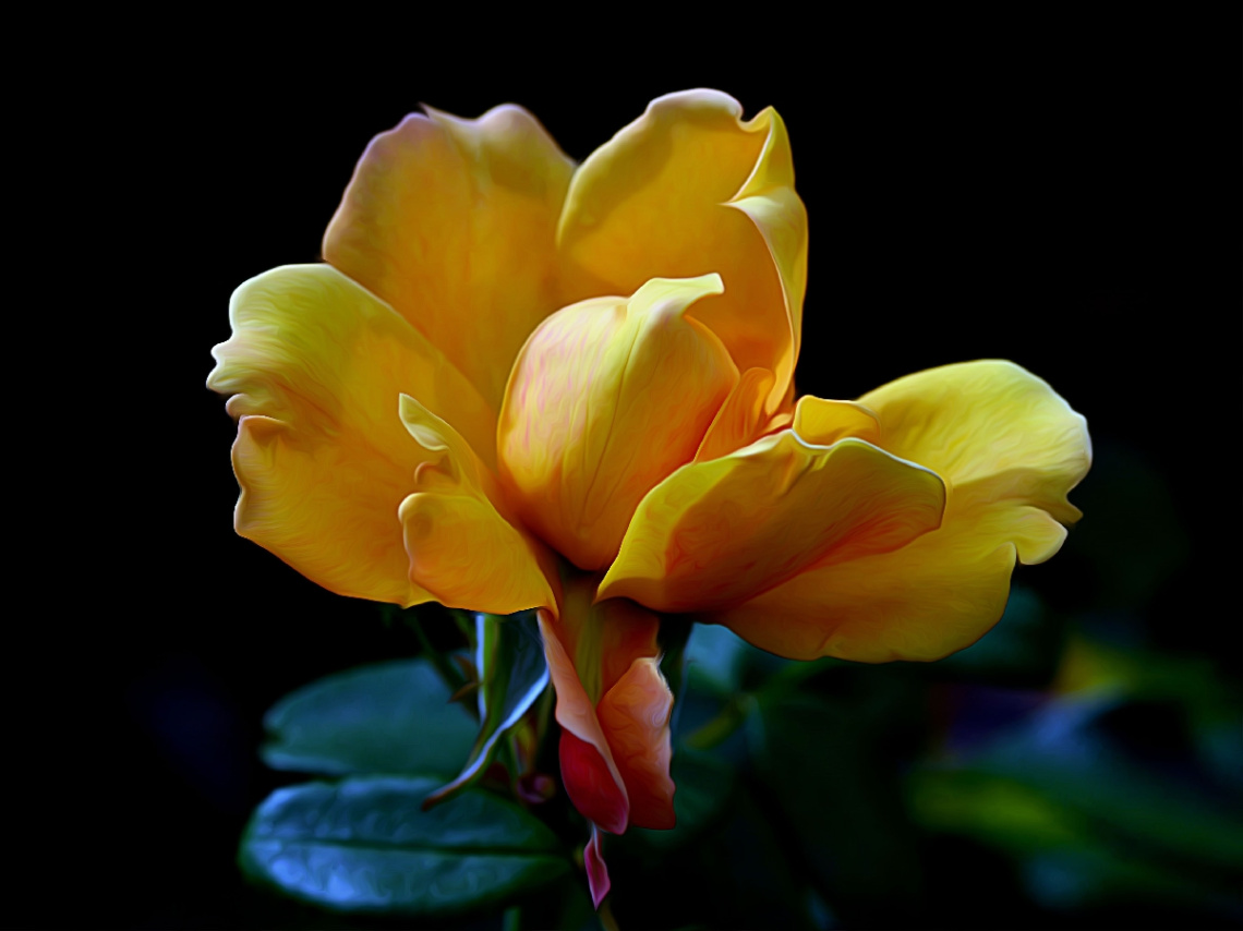 TULPE