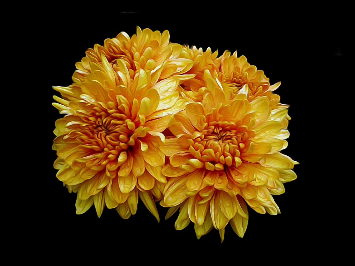 BLÜTEN