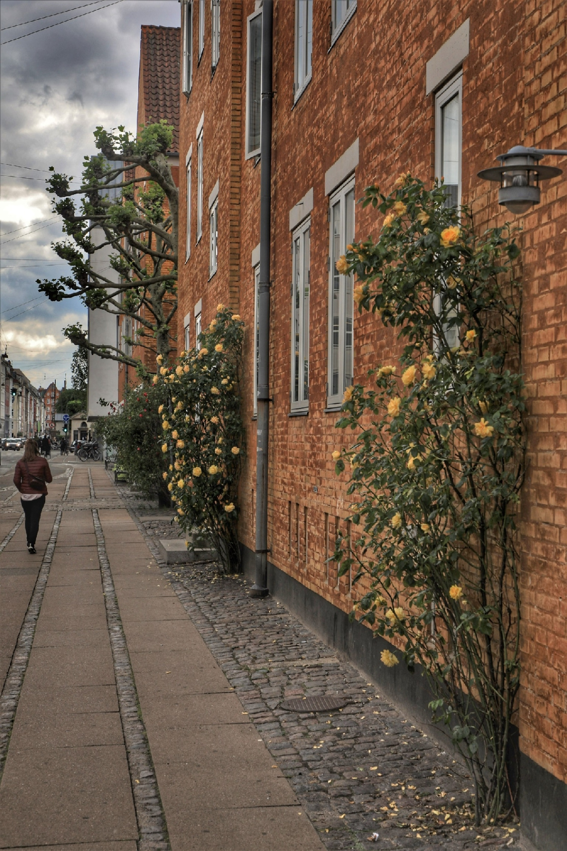 Copenhagen - Denmark 