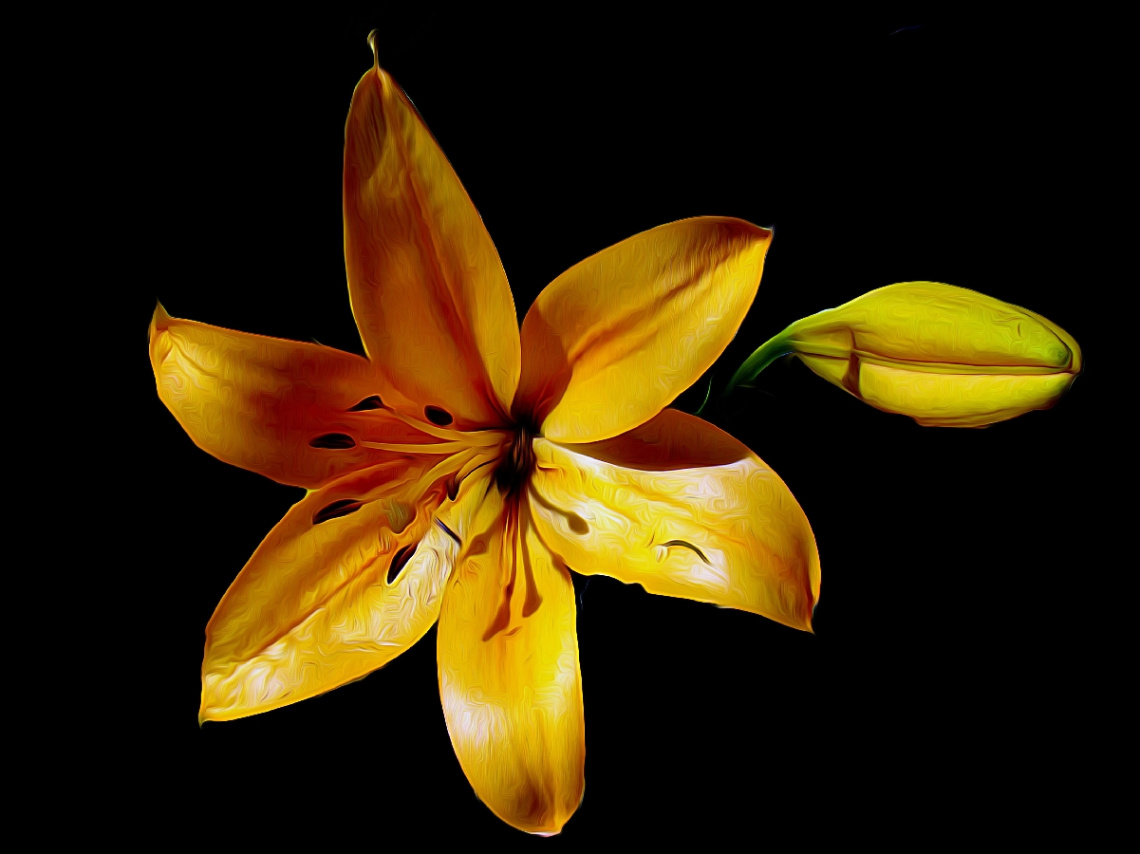 BLÜTE
