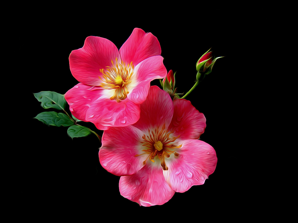 BLÜTEN
