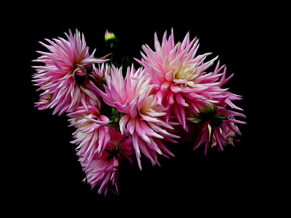 BLÜTEN