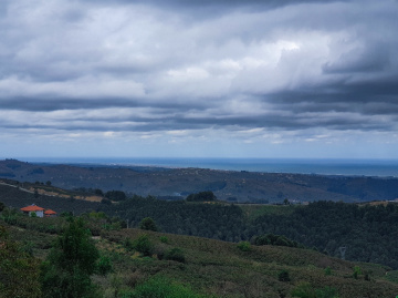 Köy