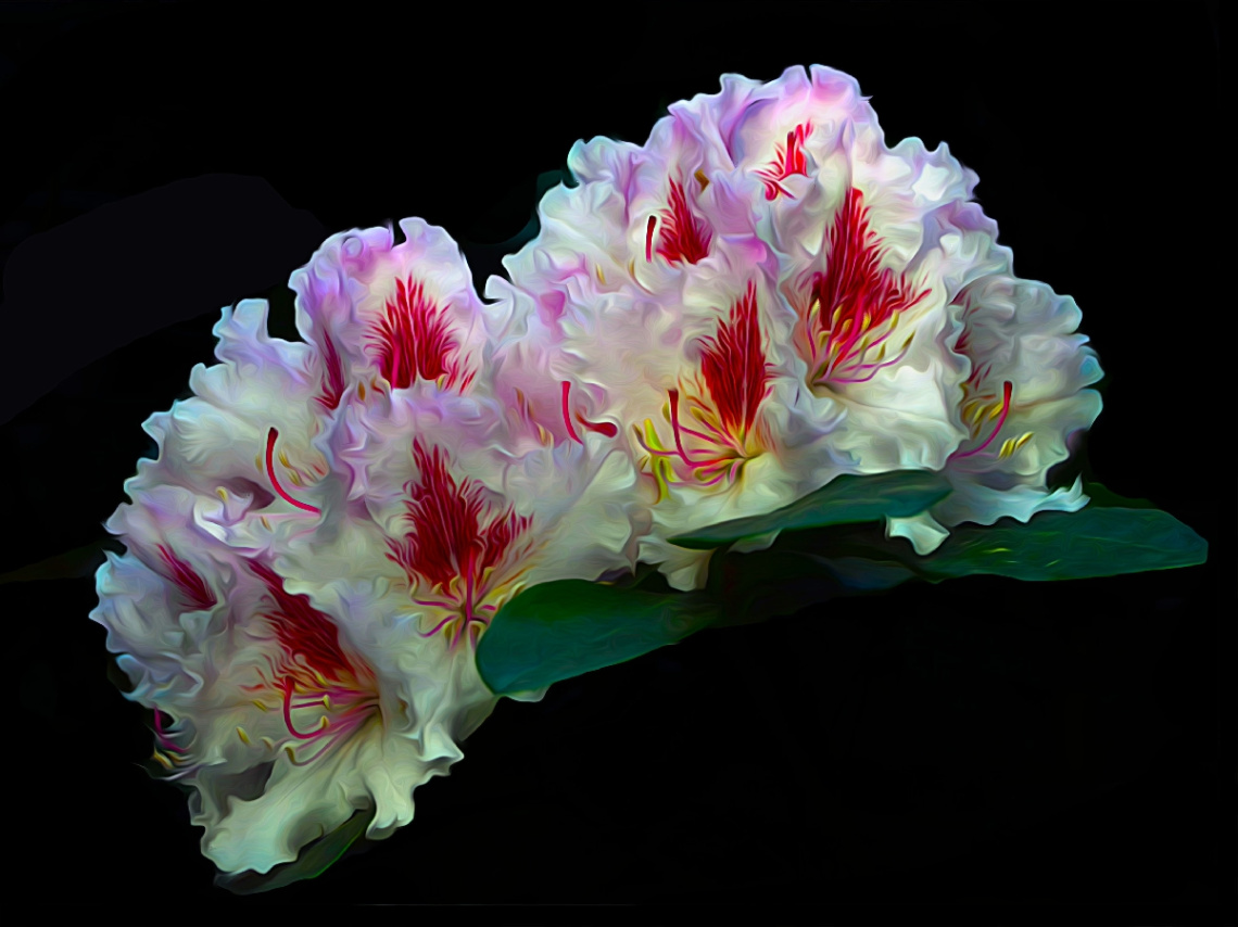 BLÜTEN