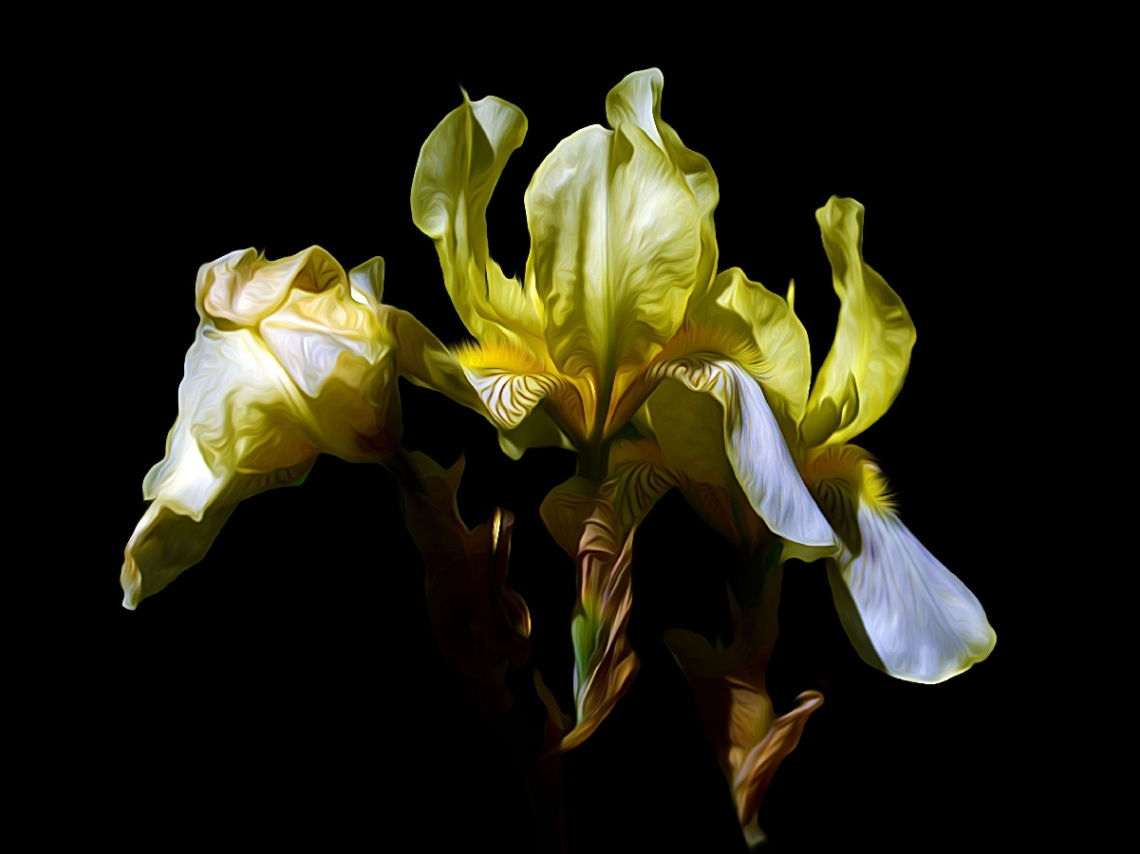 BLÜTEN