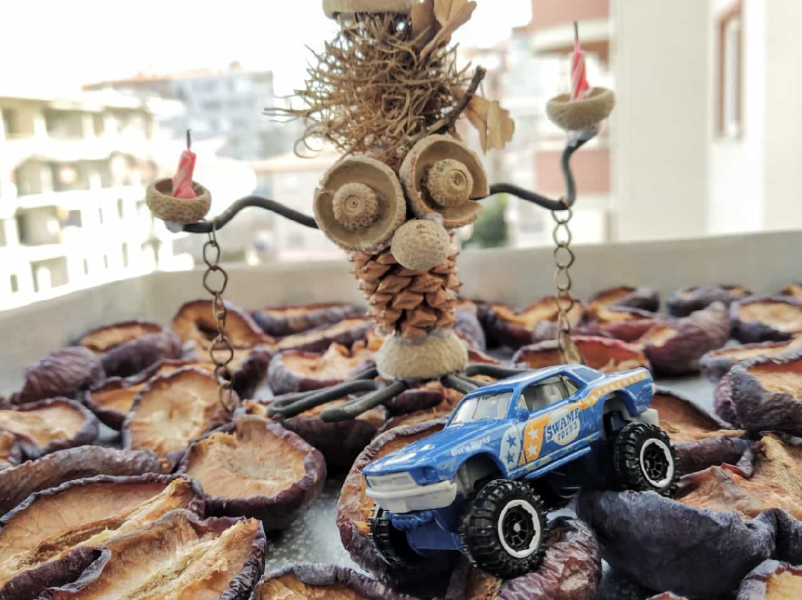 Miniciks Hayatlar  1968 Ford mustang & Pilit aliy