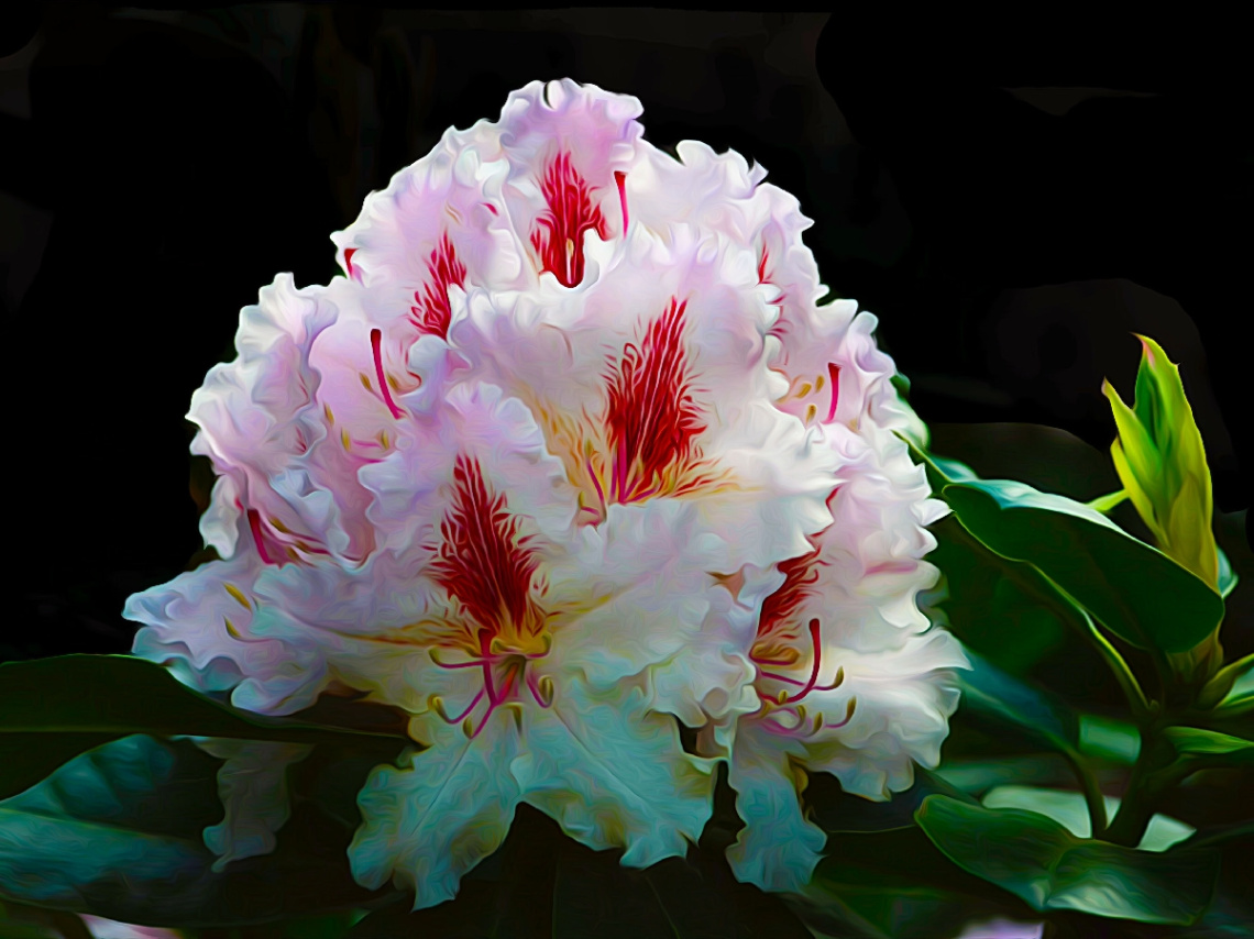 BLÜTEN