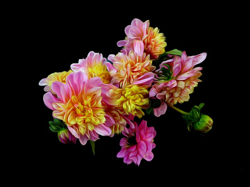 BLÜTEN