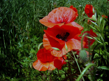 BLÜTEN