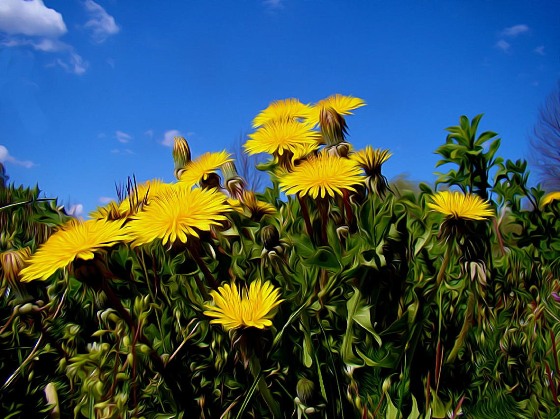 BLÜTEN