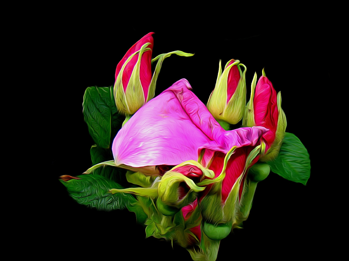BLÜTEN